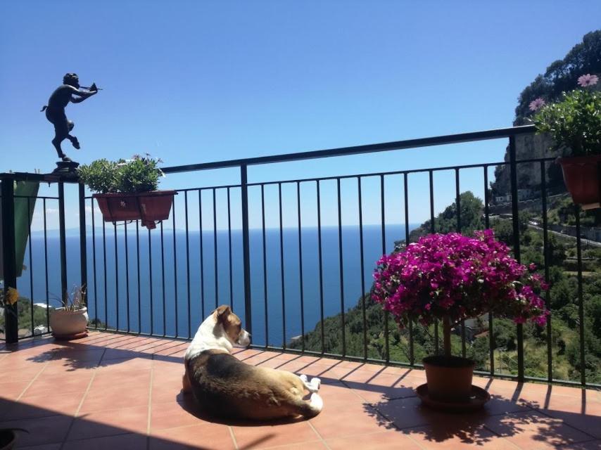 Domus Gaia Bed & Breakfast Amalfi Dış mekan fotoğraf